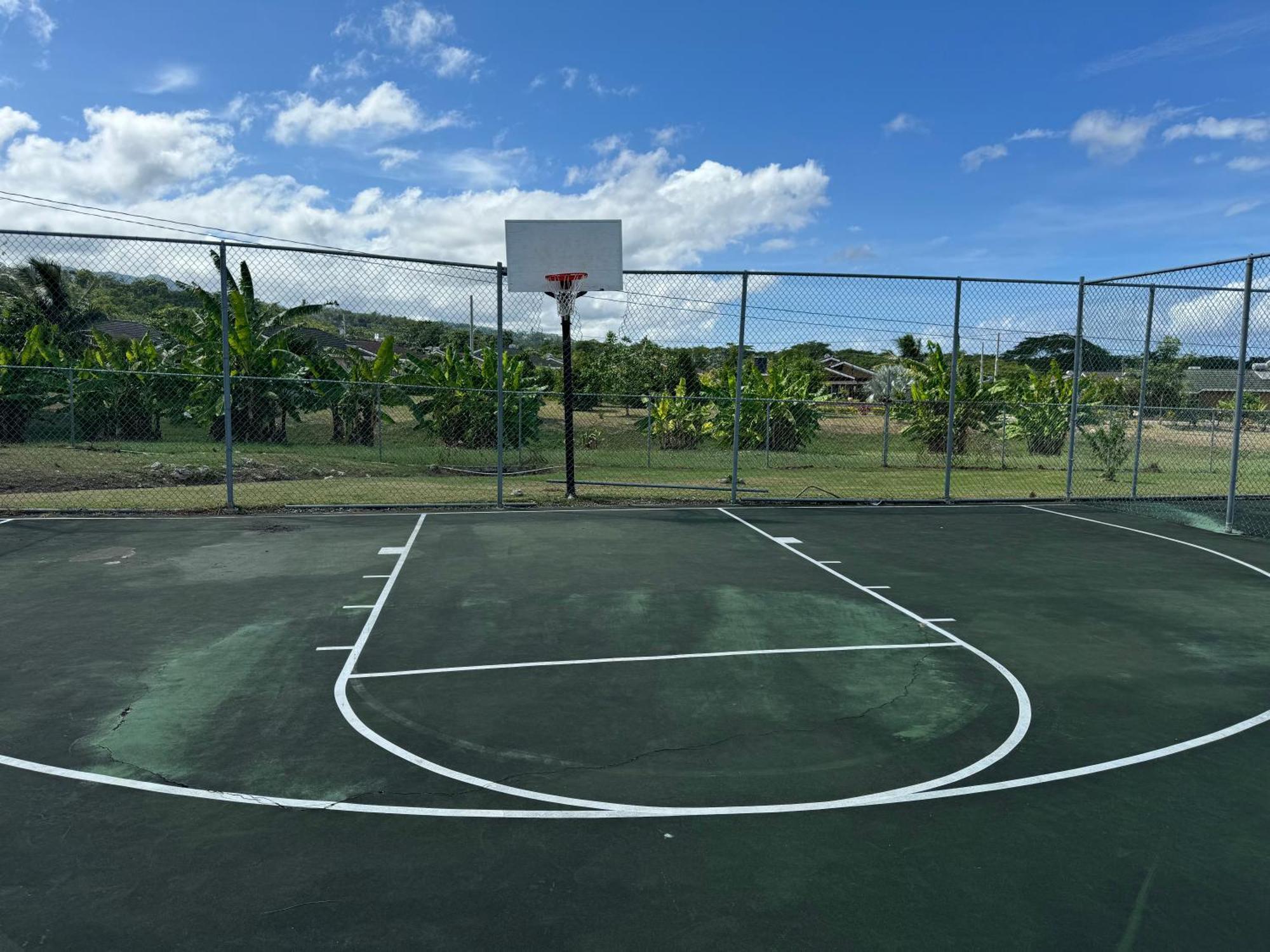 Marriott Drax Hall W Private Pool, Ocho Rios Holiday home